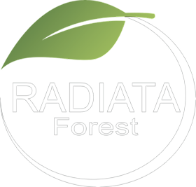Radiata Forest
