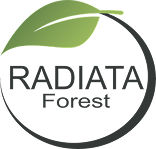 Radiata Forest